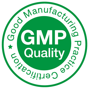 Международный стандарт GMP