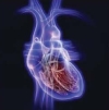 Профилактика ишемической болезни сердца: взгляд нутрициолога