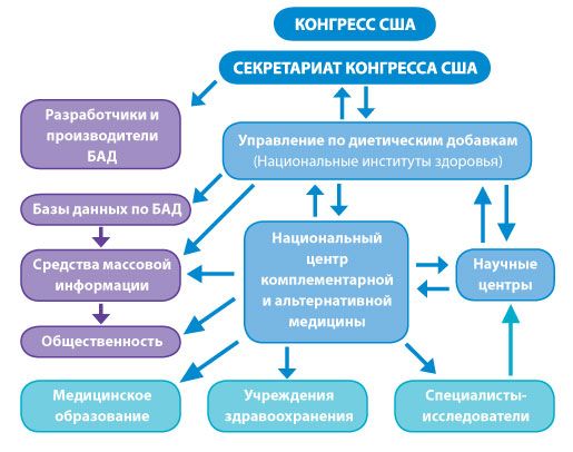 Схема взаимодействия и координации нескольких структур, находящихся под эгидой Конгресса США